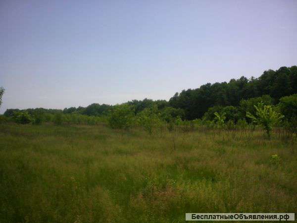 Участок на Щелковском шоссе 24 сотки