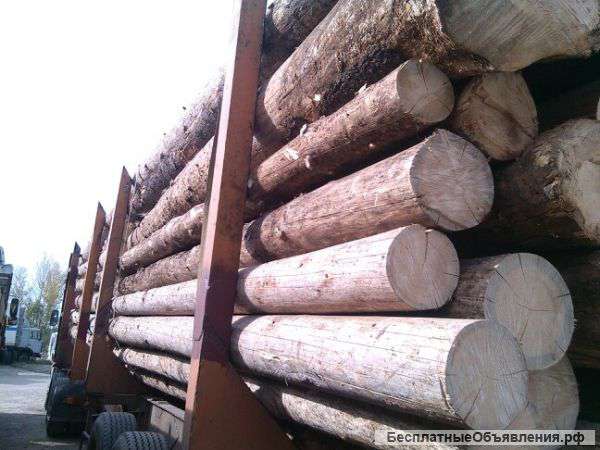 Сухостой и зеленый кругляк пиловочник ель сосна с доставкой. Обьем. Цена договорная.