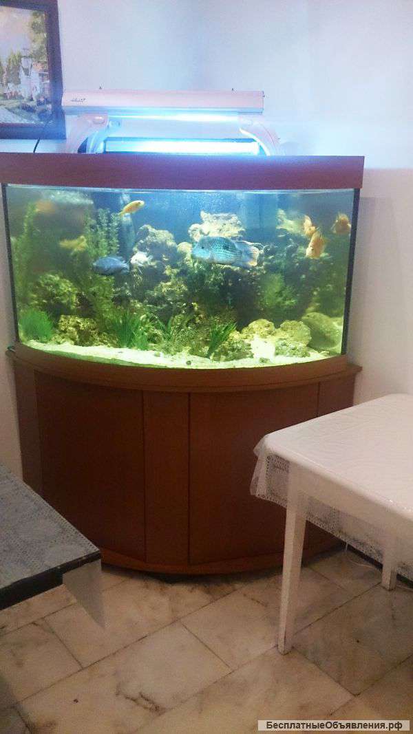 Аквариум на 500 литров с рыбками и оборудованием
