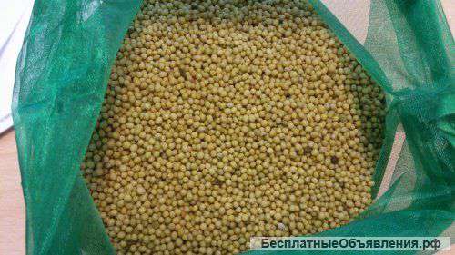 Горчица белая, райграс однолетний, тимофеевка