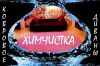 Химчистка м/ мебели, коврового покрытия