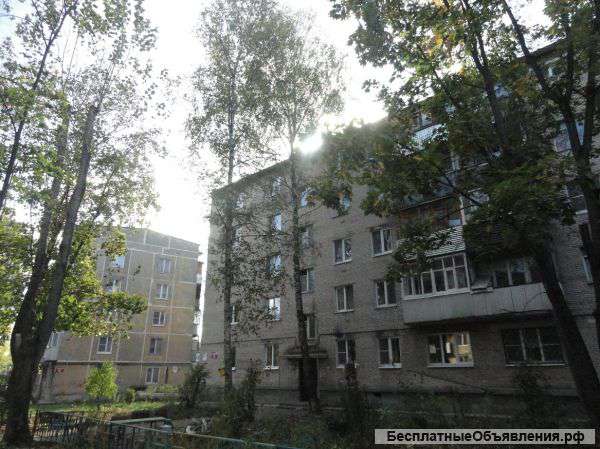 Квартира в п. большевик