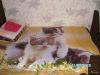 Комната