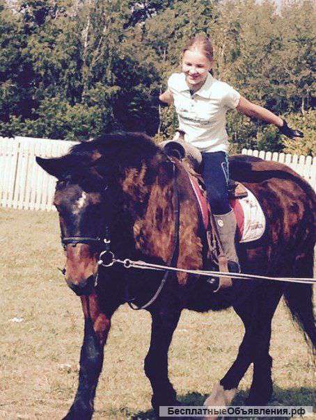 Обучение верховой езде в КК Аркадия