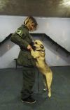 Гостиница для ваших питомцев