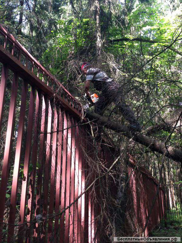 Удаление деревьев, удаление пней