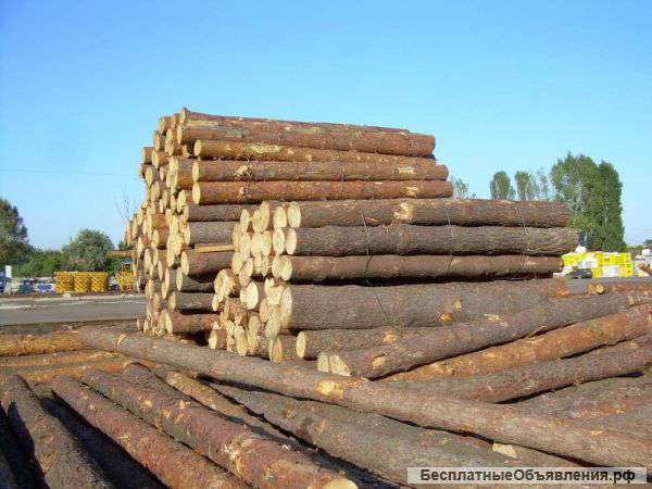 Кругляк и пиломатериалы