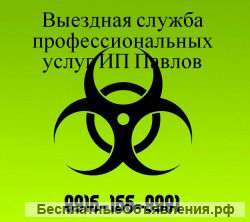 Выездная служба профессиональных услуг