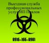 Выездная служба профессиональных услуг