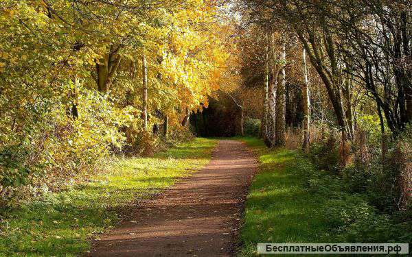 Участка 261 сотка в Омском районе с.Чернолучье