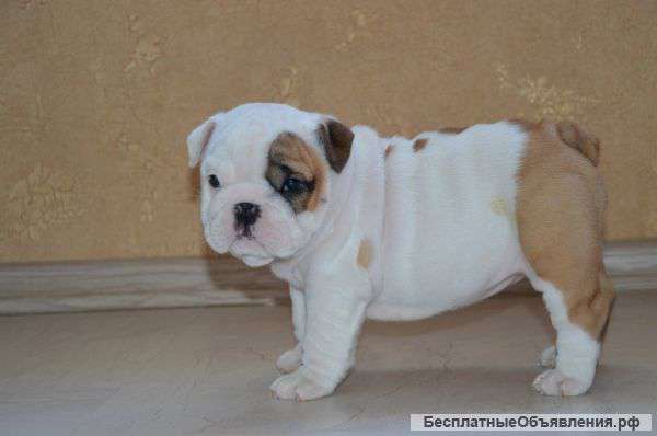 Красивые детки