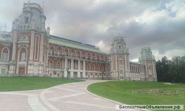 Ремонт бензопил