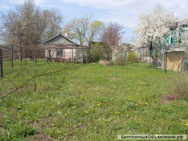 Дача с большим участком в ст. Старочеркасской