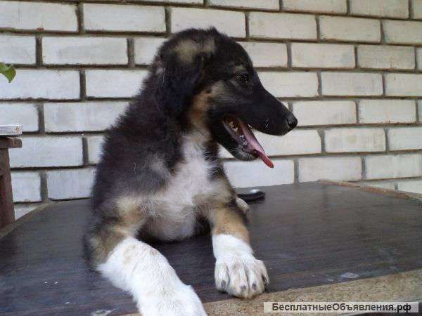 Маленькая непоседа