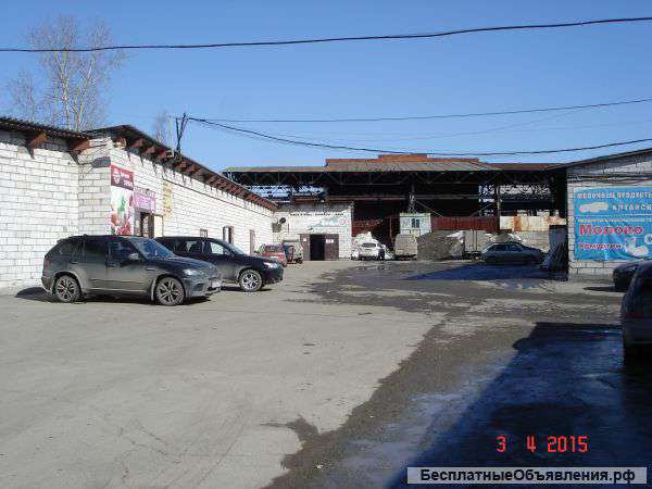 Сдам в аренду