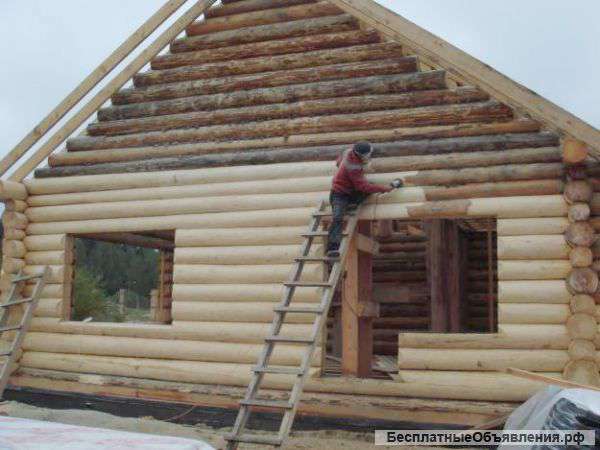 Шлифовка срубов