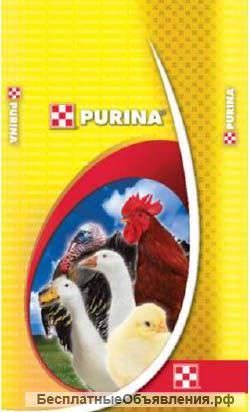 Комбикорм для индюшат 4-8 нед.Purina