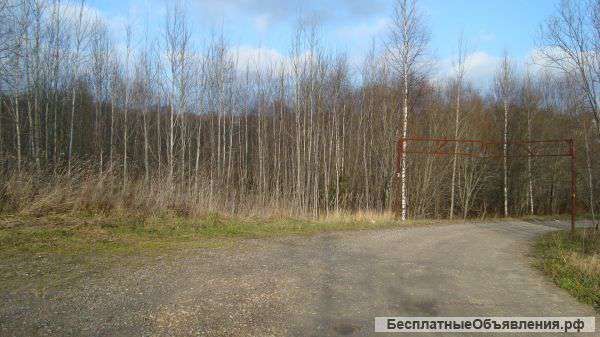 Землю