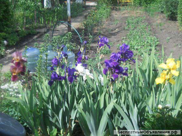 Сантехника