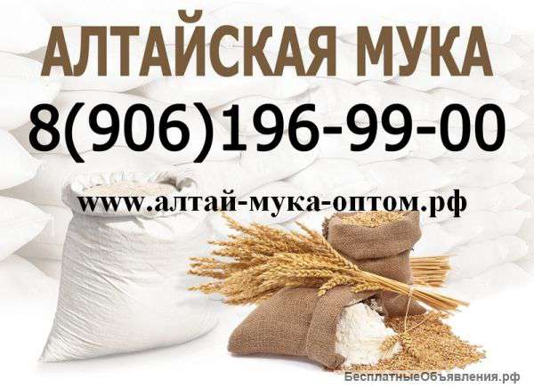 Алтайская мука оптом