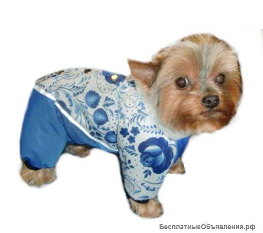 Одежда для собак всех пород от URBAN DOGS