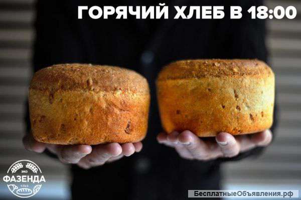 После работы за горячим хлебом в пекарню "ЭкоФазенда"