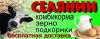Зерно, комбикорма