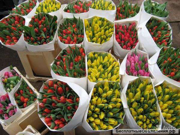 Цветы оптом с доставкой по Москве и МО