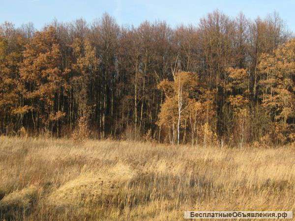 Участок 25 соток 20 км от Тулы