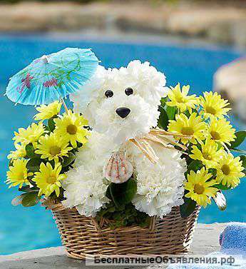 Интернет-магазин цветов