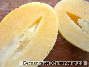 Дынная груша (ПЕПИНО) экзотическое растение - это чудо