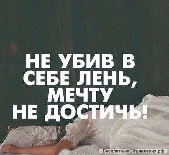 Курьеры для финансовых переводов