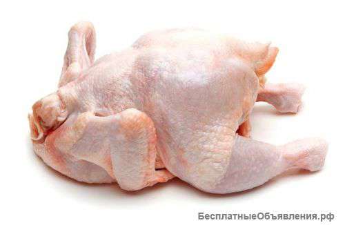 Парное мясо домашней птицы