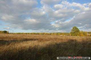 Личное подсобное хозяйство (ферма) в 250 км от Москвы