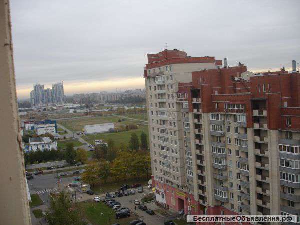 Сдаю в аренду