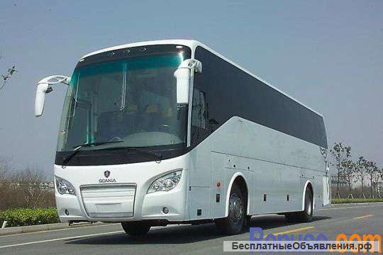 Скания A80 (51 место)