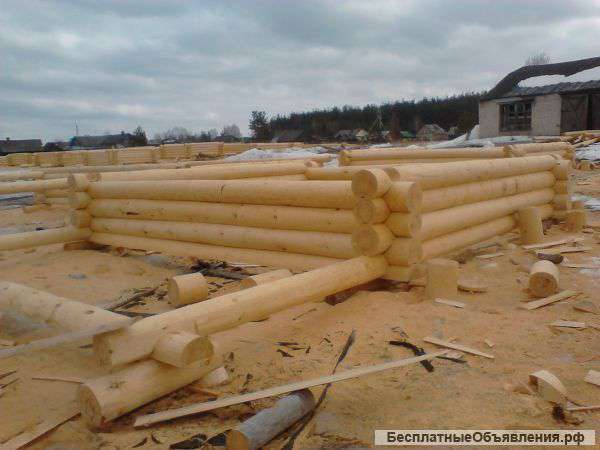 Срубы из качественного леса