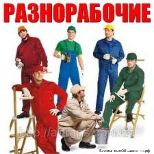 Ищем работу