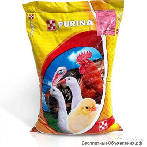 Стартер Purina для яичной птицы