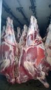 Говядина 1 категории (коровы, быки) оптом зам.охл.