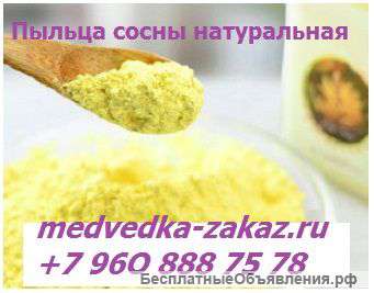 Пыльца сосны