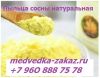 Пыльца сосны