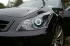Ангельские глазки infiniti