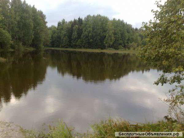 Земельный участок в г.Чайковский