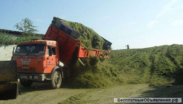 Силос, Сенаж, Сено, Солома