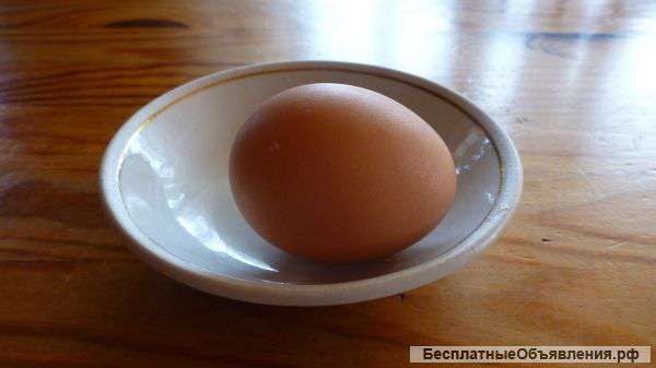 Деревенские яйца