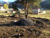 Земельный участок в Бакуриани