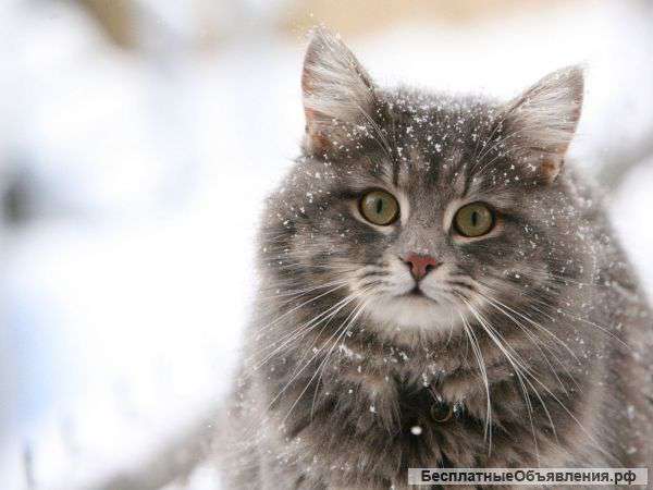 Просмотрите сайт