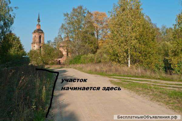 80 соток в сосновом лесу 50 км от посада