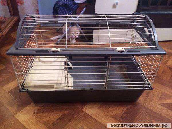Клетка для животных